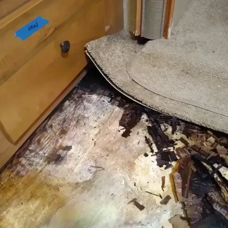 Wood Floor Water Damage in Martha Lake, WA